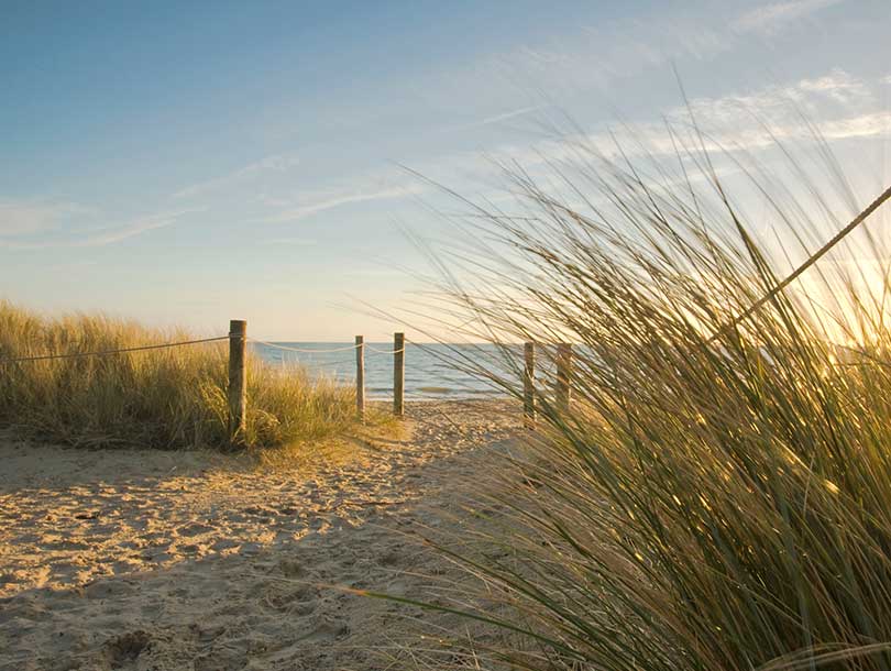 Getting cheap tickets to Bournemouth