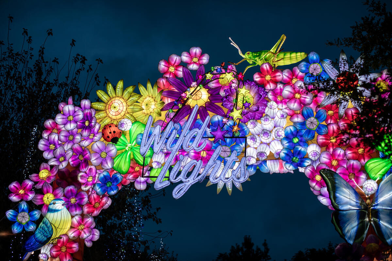 Dublin’s Best Christmas Light Shows and Illuminations December 2025