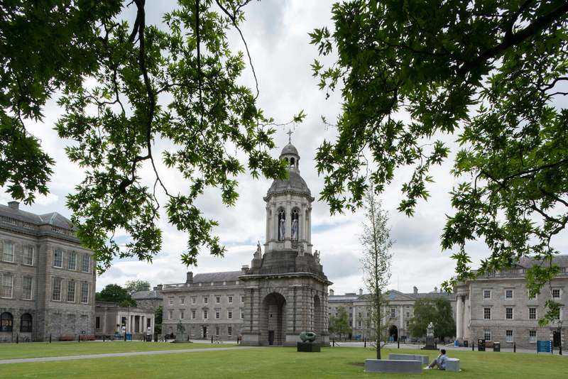 Trinity College - Service 784- Stop Trinity College No. 4495