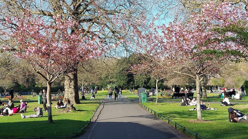 St. Stephen’s Green- Service 783- Stop - Portobello No. 2386